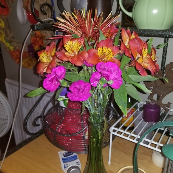 Meet your Posher, Lessia - Picture 1 of 1